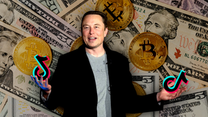 Elon Musk Bitcoin Scam on TikTok