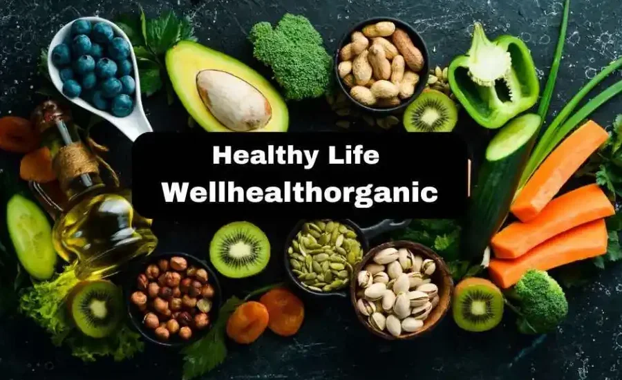 healthy life wellhealthorganic