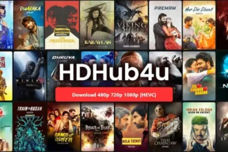 HDHub4u.observer